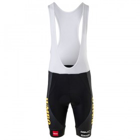 Pantaloncino con bretelle 2020 Team Jumbo-Visma N001